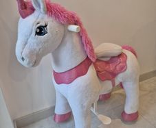 pony cycle