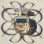 New Elie Saab EDP Image 2