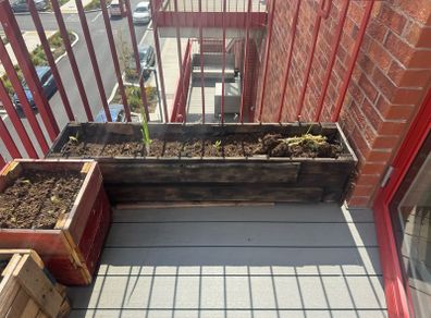DIY Raised Garden Beds