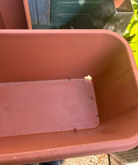 2 x Large Window Boxes