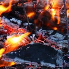 wood chunks for food smoking