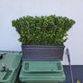 Trough planter Image 2