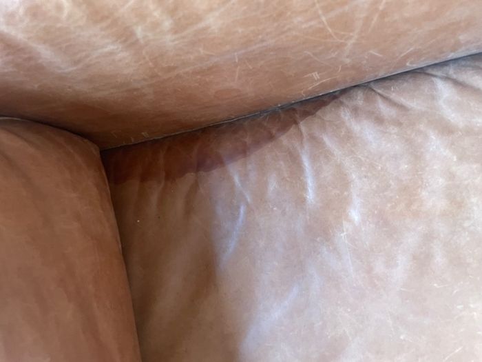 leather sofa