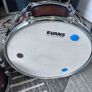 Pearl Decade Maple Image 6