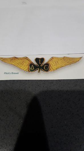 Wanted Aer Lingus & Irish Airlines Wings / Badges & Memorabilia.
