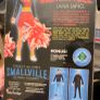 Smallville Kristin Kreuk Signed Lana Lang Figure Dc Direct Image 2