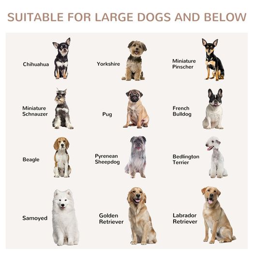 Large Dog Crate with 1 Door