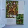 encyclopedia of exotic plants for temperate climates by Will Giles Image 5