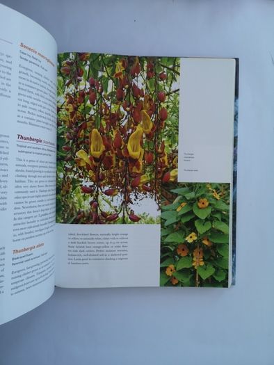 encyclopedia of exotic plants for temperate climates by Will Giles