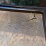exo terra small tall 45x45x60 vivarium Image 5
