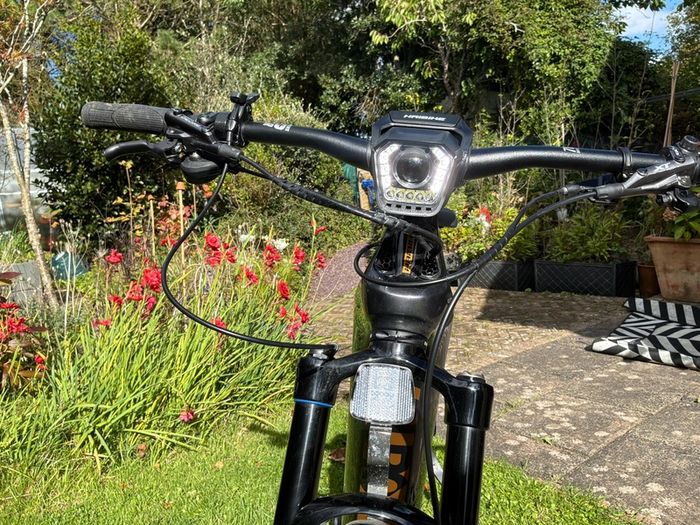 electric bike