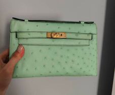 Ostrich skin bag