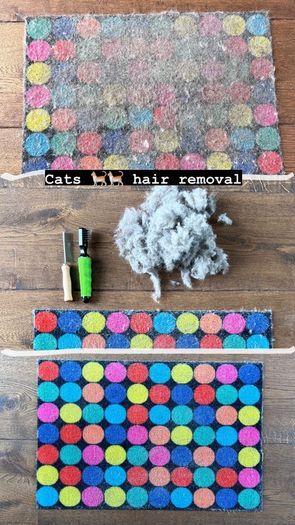 Cleaning - best reviews, references, before and after photos, let your house sparkle again