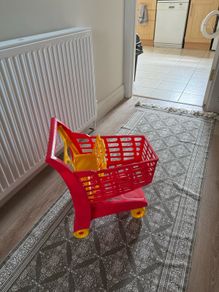 Kids Shopping Trolley
