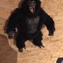 King Kong toy (from Peter Jackson's King Kong) Image 2