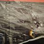 Car Cover Walser Image 2