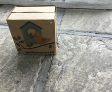 Bird box camera kit