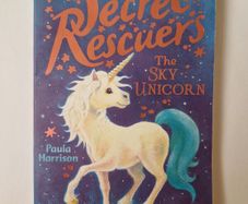 The Secret Rescuers - The Sky Unicorn (paperback)