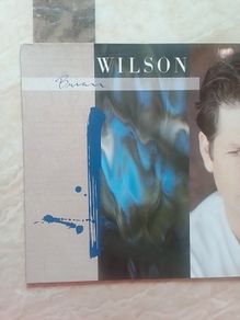 Brian Wilson LP