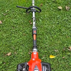 Echo strimmer