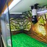 Vivarium/Terrarium Image 6