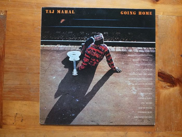 Taj Mahal Going Home
