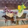Vintage Set MCM Plant Pots x 2 Bark Pattern Stoneware Succulent Bonsai Planter 1950s Image 2