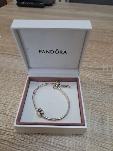 Pandora Bracelets (2)