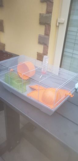 hamster cage