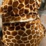 hot water bottle holder soft toy giraffe Image 3