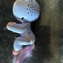 Fingerling Unicorn Image 2
