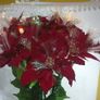 28 Inch Fibre Optic Poinsettia Light Up Flower Arrangement With Mains Adapter Tested Working Image 6