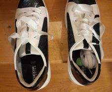 NEW Geox Trainers