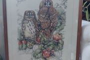 Limited Edition framed 'Tawny Owls' by Elisabeth Luard