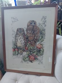 Limited Edition framed 'Tawny Owls' by Elisabeth Luard