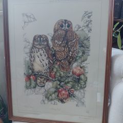 Limited Edition framed 'Tawny Owls' by Elisabeth Luard