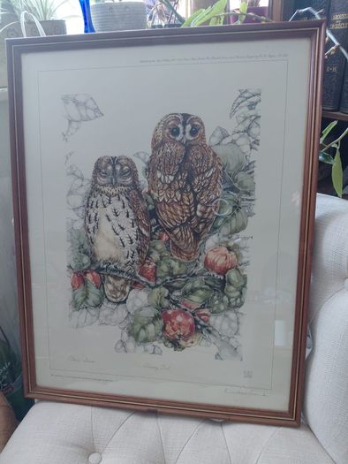 Limited Edition framed 'Tawny Owls' by Elisabeth Luard