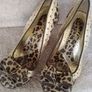 Designer Size 5  Reduced Image 2