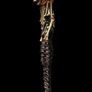 Evil Dead Kandarian Dagger Replica Image 3