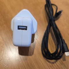 Apple  charger (original)
