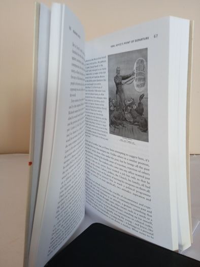 Reading Joyce by David Pierce (HQ862)