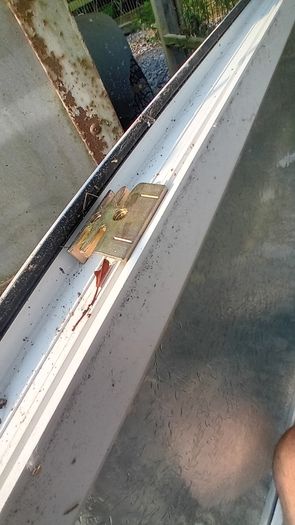 bathroom window