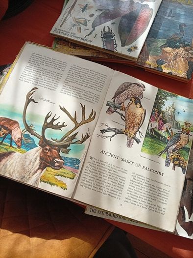 Nature Books