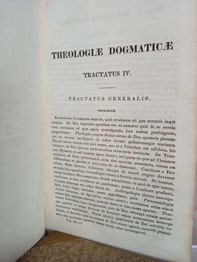Theologiae Dogmaticae, Vol. 2 by Franciscus Patricius Kenrick (AB516)