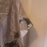 ZARA Blouse .. Size: Medium (12) .. Price Drop Image 3