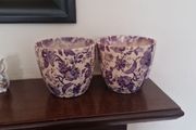 blue / white plantpots