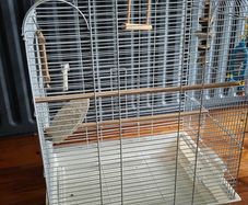 Bird cage