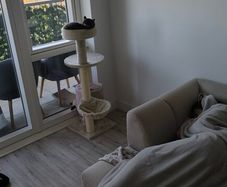 Cat tree