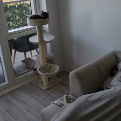 Cat tree