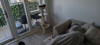Cat tree
